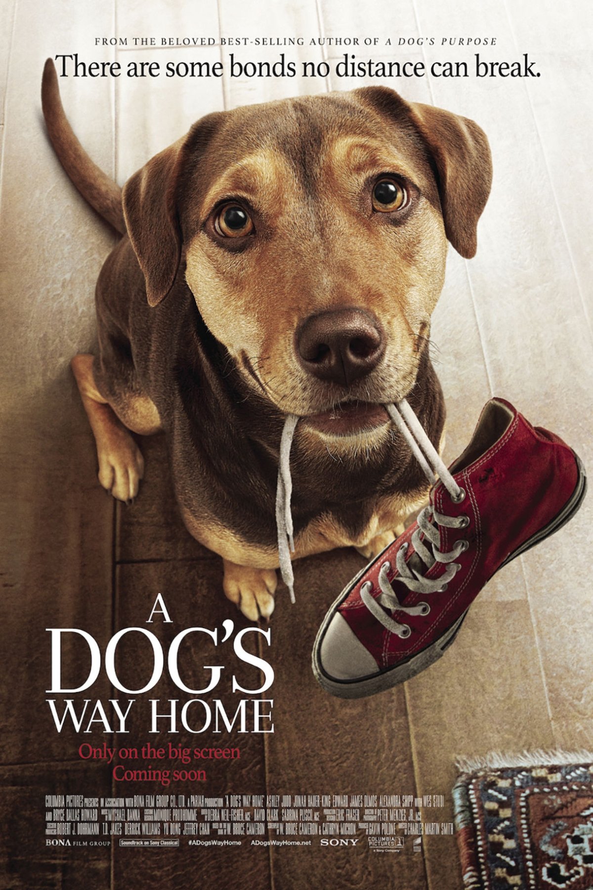 A Dog's Way Home
